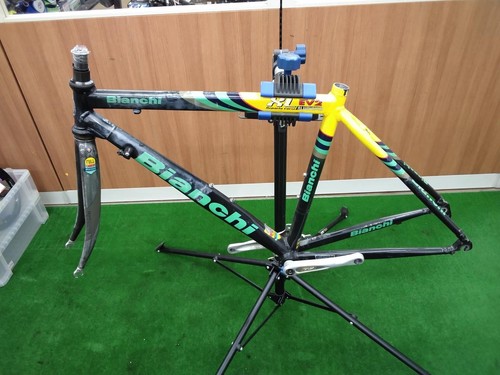Bianchi reparto corse ev2 - reparto, xl