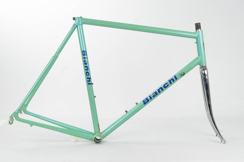 Bianchi sakae litage - by,